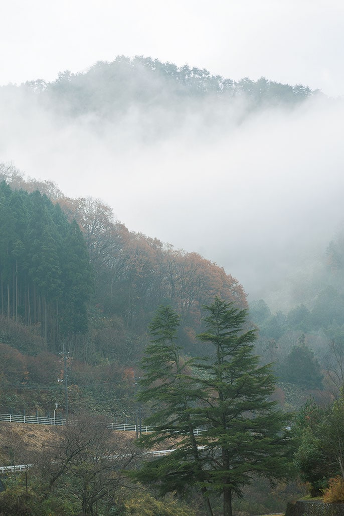 【登録有形文化財の宿 名泉鍵湯 奥津荘】宿へは、四季折々の姿を見せる山々を越えて。岡山空港から車で約90分。JR津山駅から路線バスで約60分。車窓からの景色が旅情を誘う。／Photo: Manami Takahashi