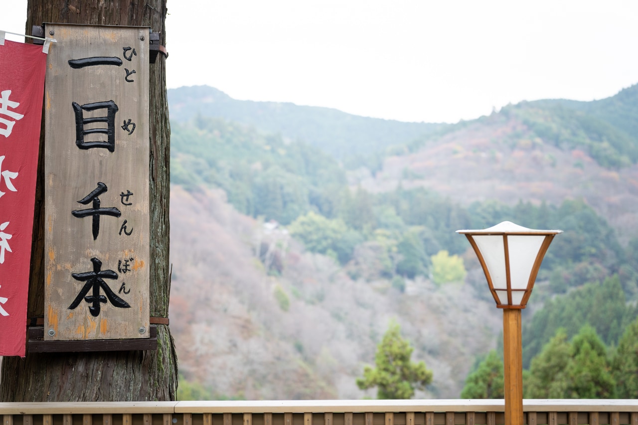 国指定名勝となっている吉野山の桜のうち、中千本（吉野山の中腹エリア・標高約350～370m辺り）と上千本（中千本に続くエリアで標高約390～600m辺り）が一望できる。