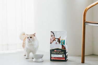 ピュリナプロプラン　リブクリア　キャットフード リブクリア │ キャットフード│ ピュリナ プロプラン（PURINA