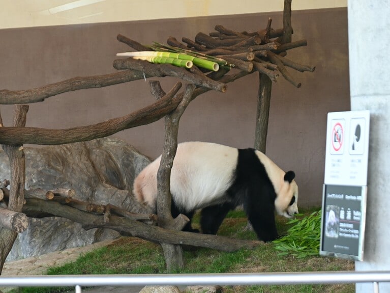 中国に出発する前日の結浜。