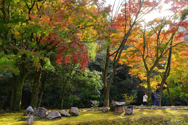 青井岳自然公園。