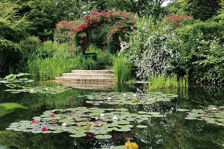 池のほとりにはバラのアーチが。5月には真っ赤な花が見頃を迎える。