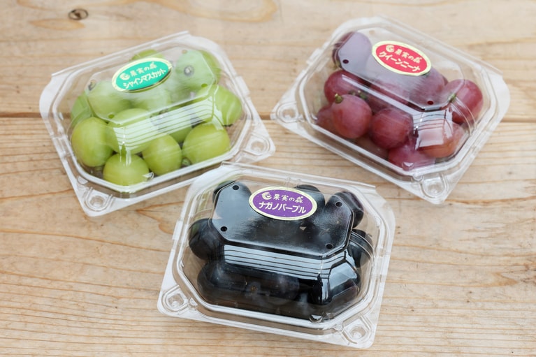 「果実の森」では14ケ所の畑でブドウやリンゴなど、様々な果物を栽培。