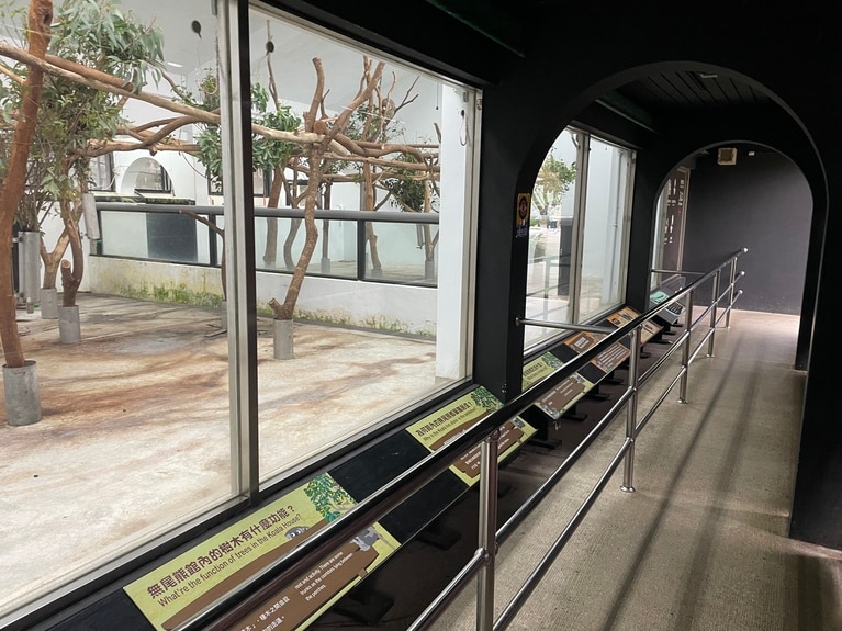 こちらは、土曜日13:30のコアラ1館の様子です。コアラ館は、1館と2館の2つが隣接しています。