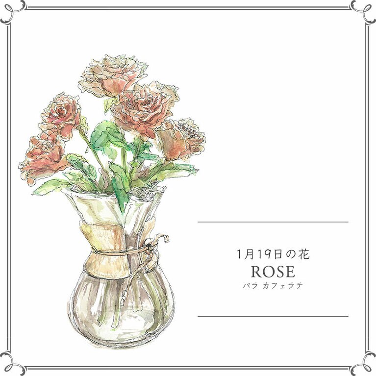 1月19日の花「バラ カフェラテ」