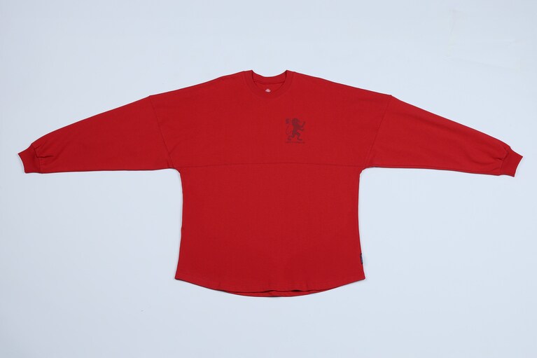 鮮やかなカラーのグリフィンドール。