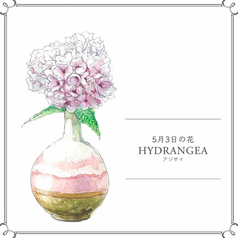 5月3日の花「アジサイ」