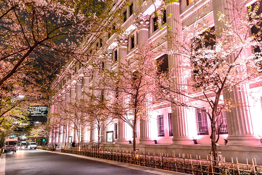 中央通りの重要文化財や大型ビル、江戸桜通り等がライトアップされる。