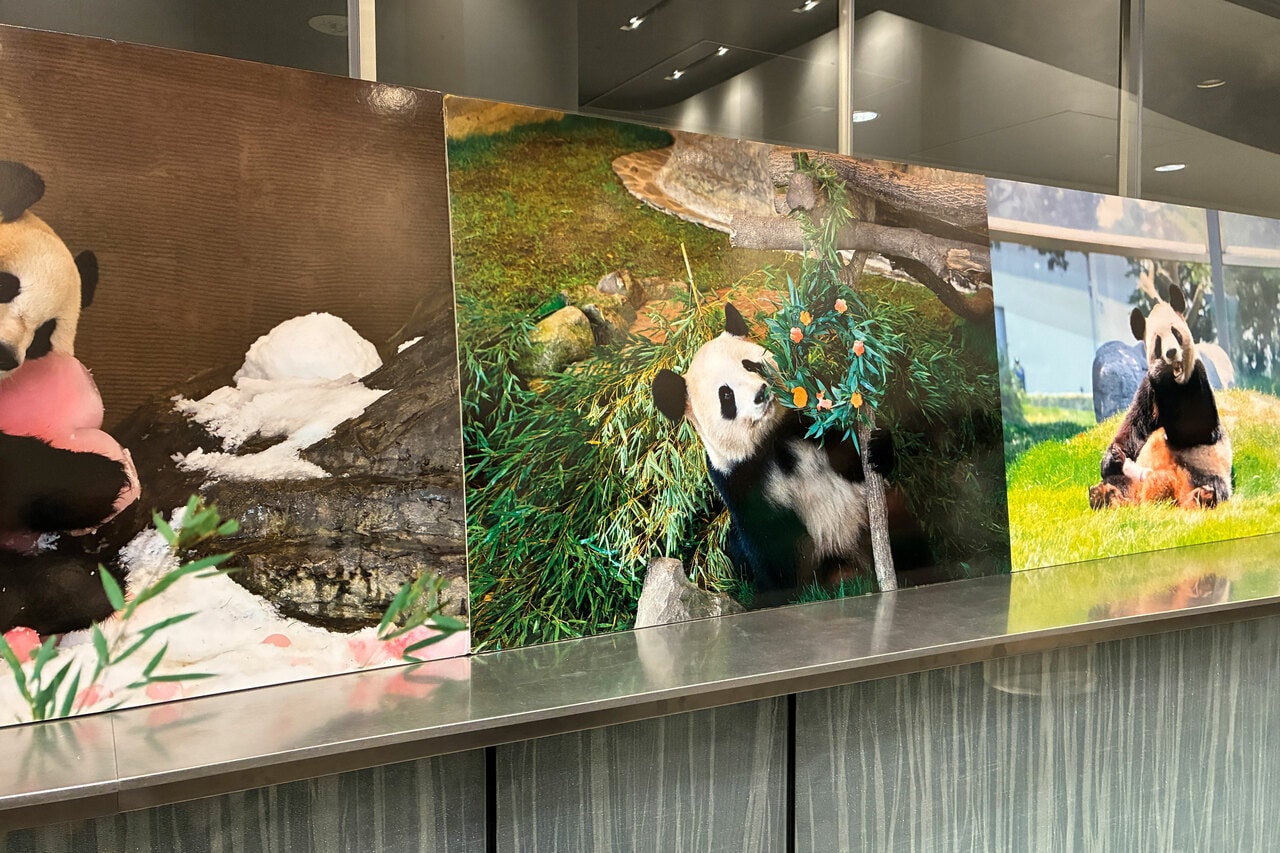 会場の外では、イベント限定のパネルが複数並び、記念撮影をして楽しむファンの姿が。