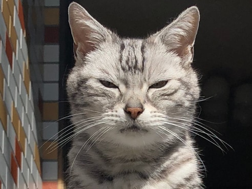 オンリーワン部門