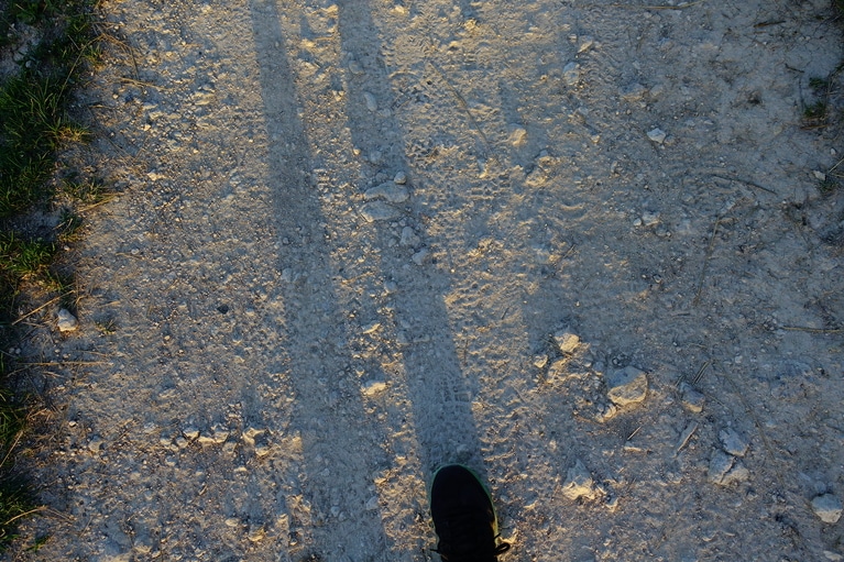 写真はイメージです。写真：mimsas/イメージマート