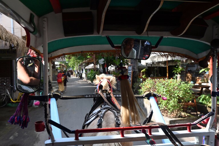 派手に飾り立てられたロバが、「シャンシャン」と鈴を鳴らし、「パフパフパフ」とクラクションを鳴らしながら疾走するチドモ。