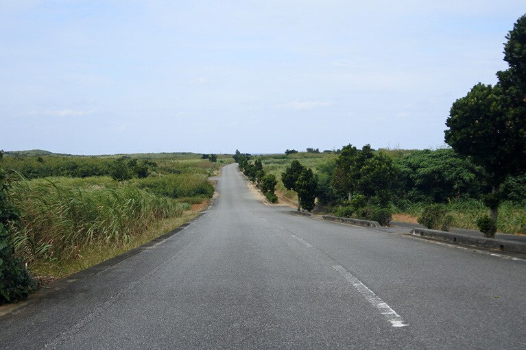 サトウキビ畑を走る、池間島の一周道路。