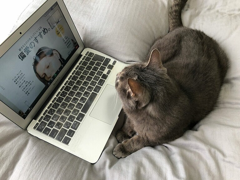 意外とちゃんと説明を聞いているようです。