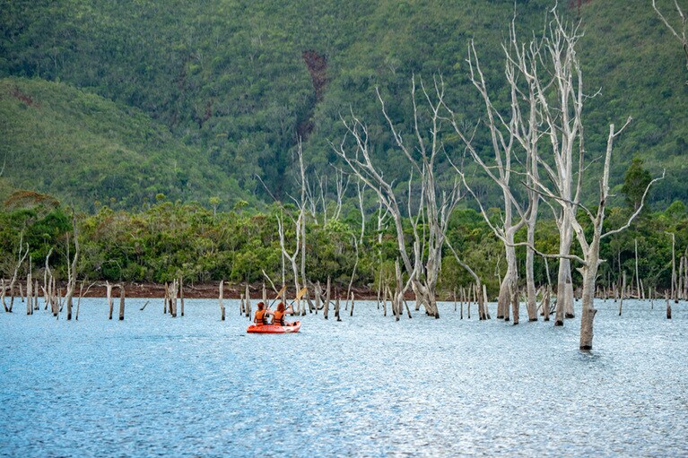 本島南部のリビエール・ブルー州立公園は、大自然のパワースポット。Photo：Oneye Production ／NCT