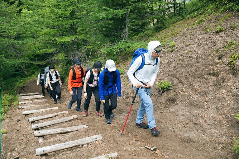 緩やかな傾斜を登っていく。