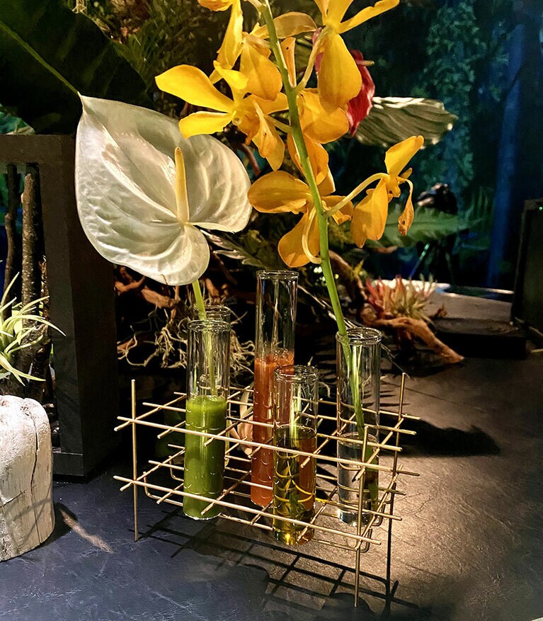 ドレッシングは、ガスパチョ(トマトジュース、レタス、トマト、赤パプリカ、きゅうり、赤ワインビネガー、シェリービネガーバルサミコ酢)、グリーンスムージー(キウイリンゴケール、小松菜、レモン)、有機エキストラヴァージン・オリープオイルの3種。