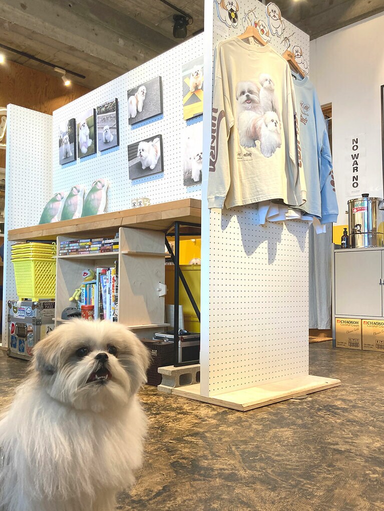 現在、タイ在住の関由香さんの写真展がタイカレー食堂で開催中です。