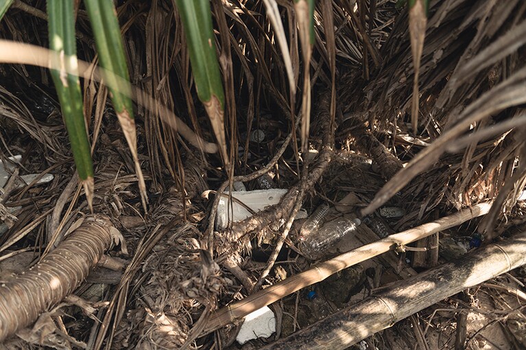 浜辺に打ち上げられたペットボトルやプラスチックごみ。