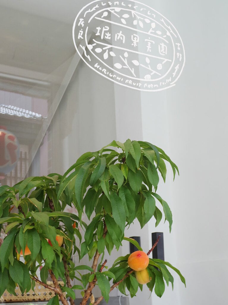 ロゴマークと梅の木。