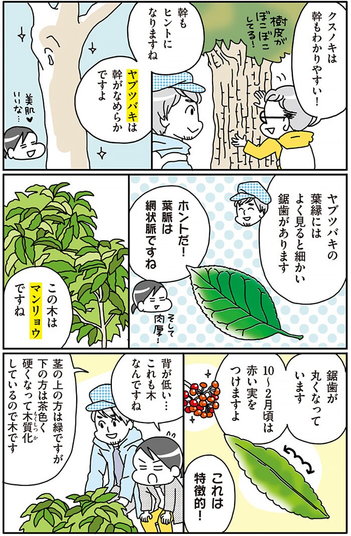 『まちなか植物観察のススメ』より。