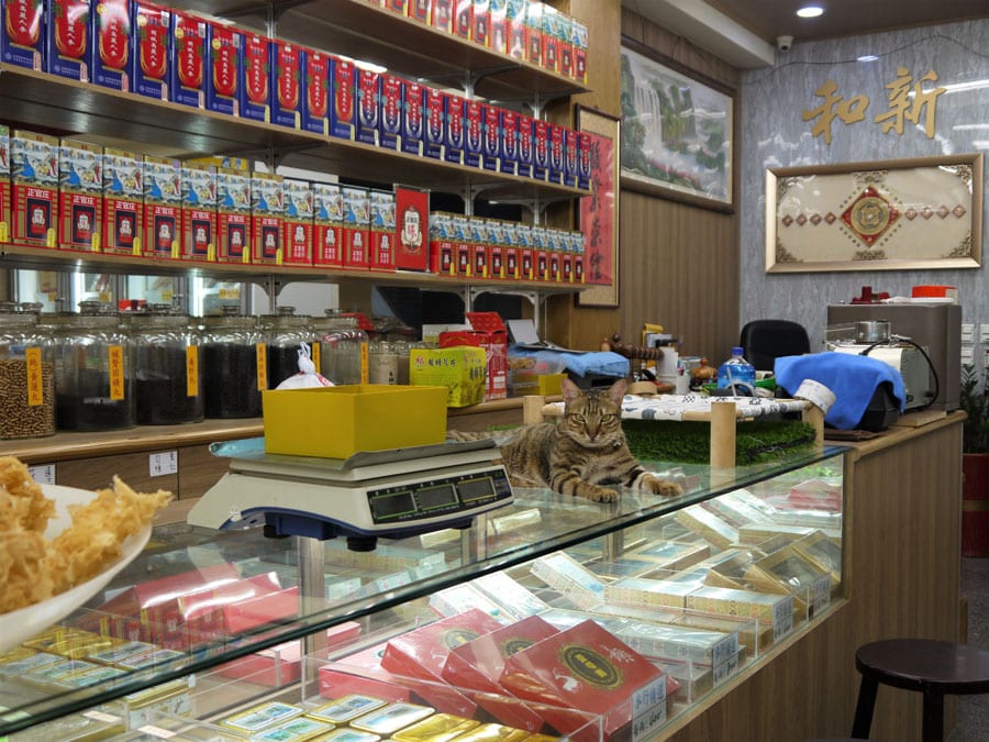 迪化街では、以前から保護猫を飼うお店が多かったのですが、ここ数年、さらにその数が増えています。写真は、からすみやスパイスを扱うお店、和新蔘藥行。