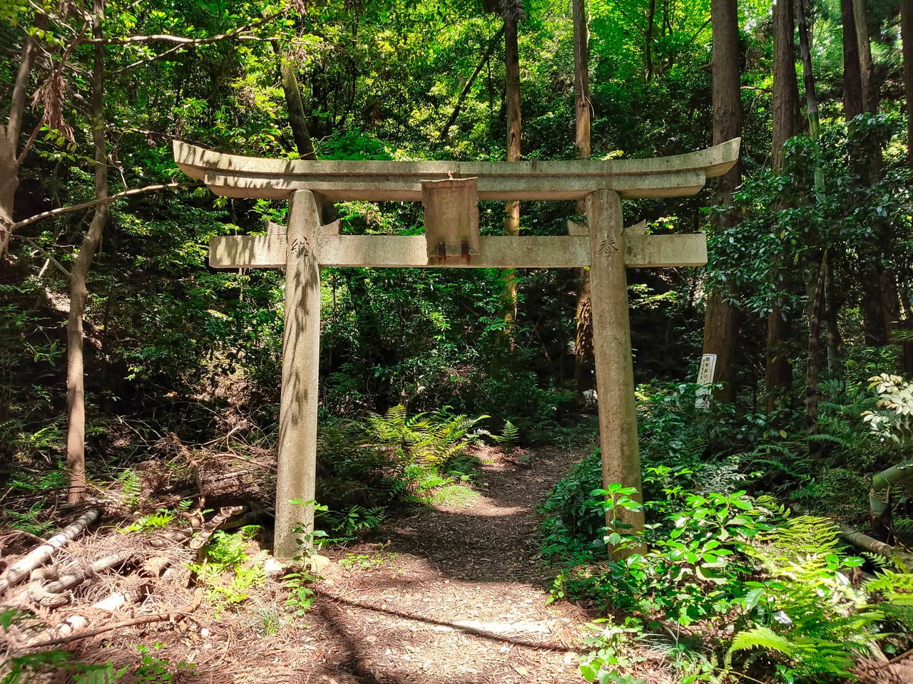 写真はイメージです。写真：mamushi/イメージマート