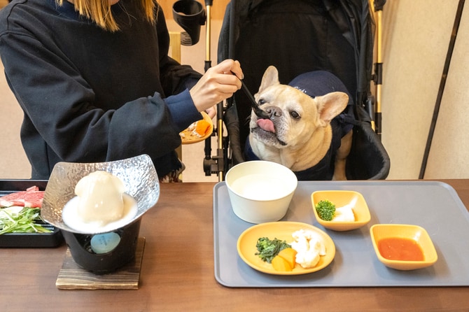 食事会場のそばにあるカートを使用すれば、愛犬も同じ目線で食事を楽しめる。
