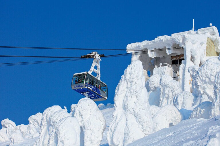 樹氷は、アオモリトドマツに雪と氷がぶつかり大きく成長したもの。ゴンドラからの眺めも圧巻。