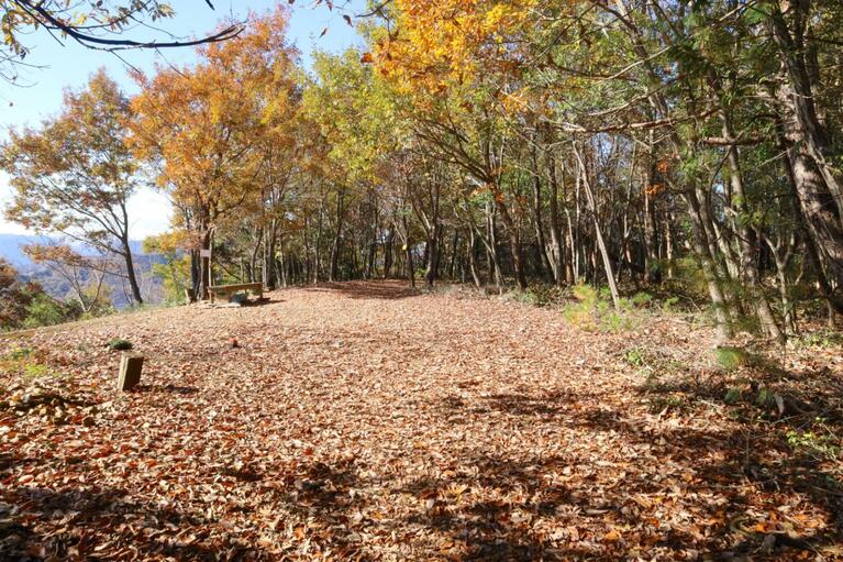 長尺20m～30mはありそうな主郭