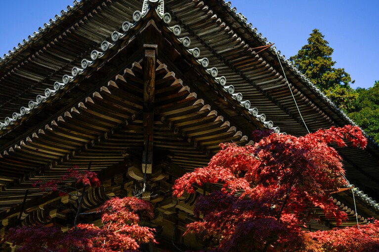 書寫山圓教寺。