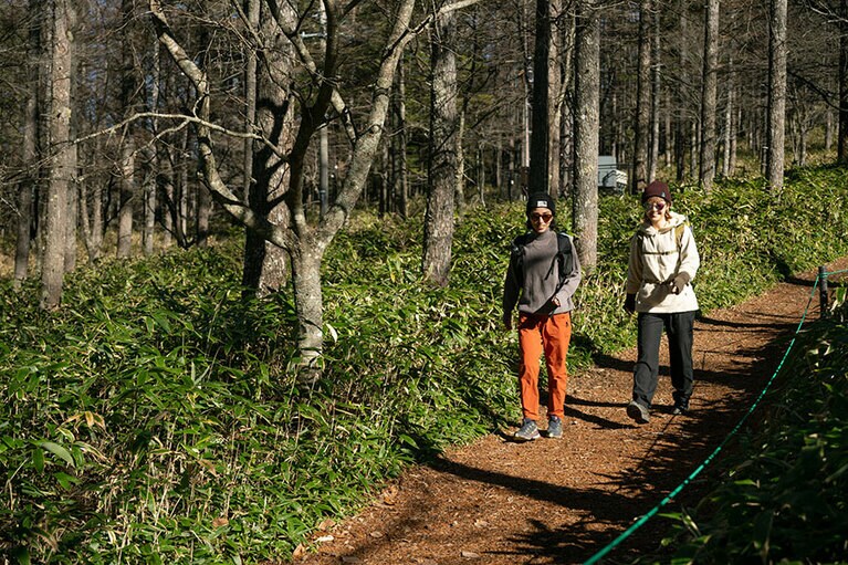 凸凹や障害物が少ない山道は初心者も安心して歩ける。