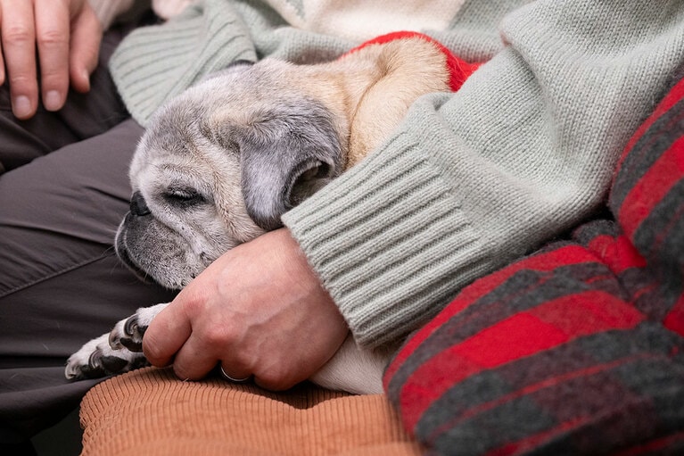 アザーカット。