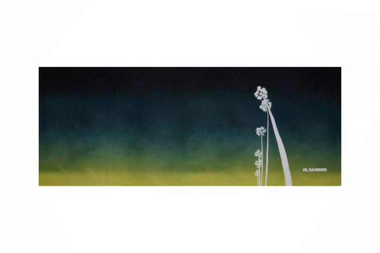 手ぬぐい カリフォルニアのサンセット