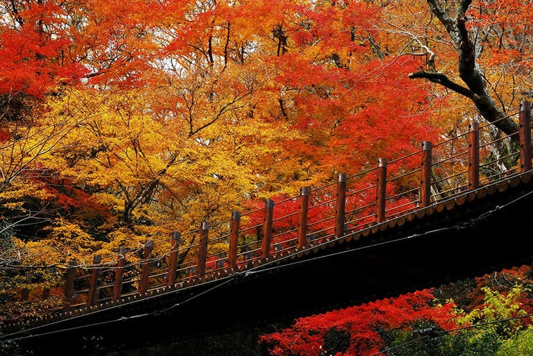 【茨城県】花貫渓谷。