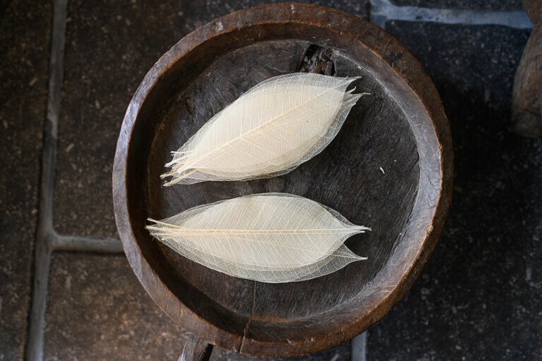 スケルトンリーフは茶こしとして。5枚セットでW8,000。