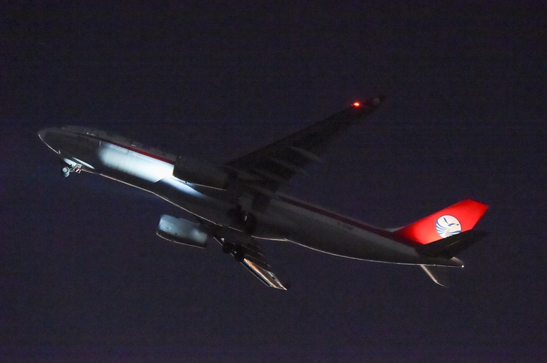 シャオシャオとレイレイをのせて飛び立った。（提供：（公財）東京動物園協会）