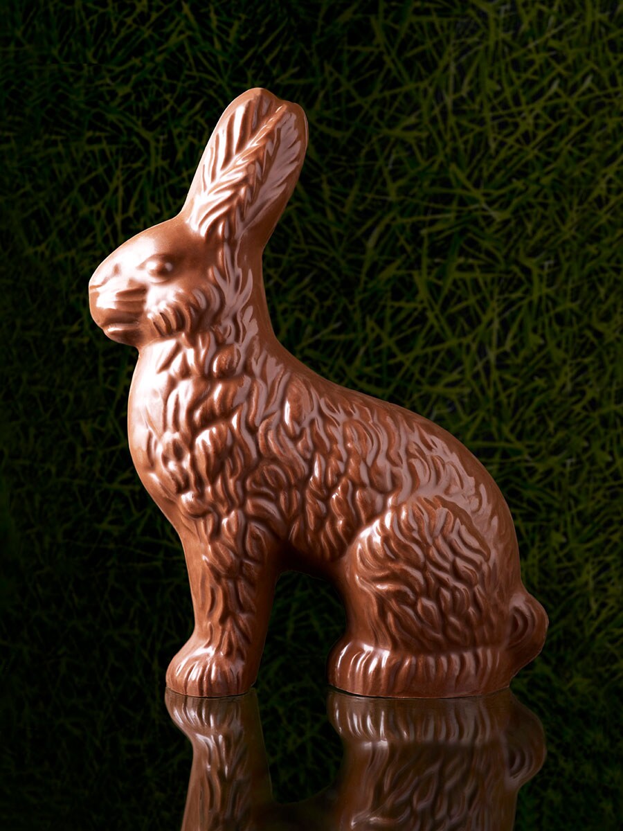 堂々たるチョコレートのウサギ（イメージ）