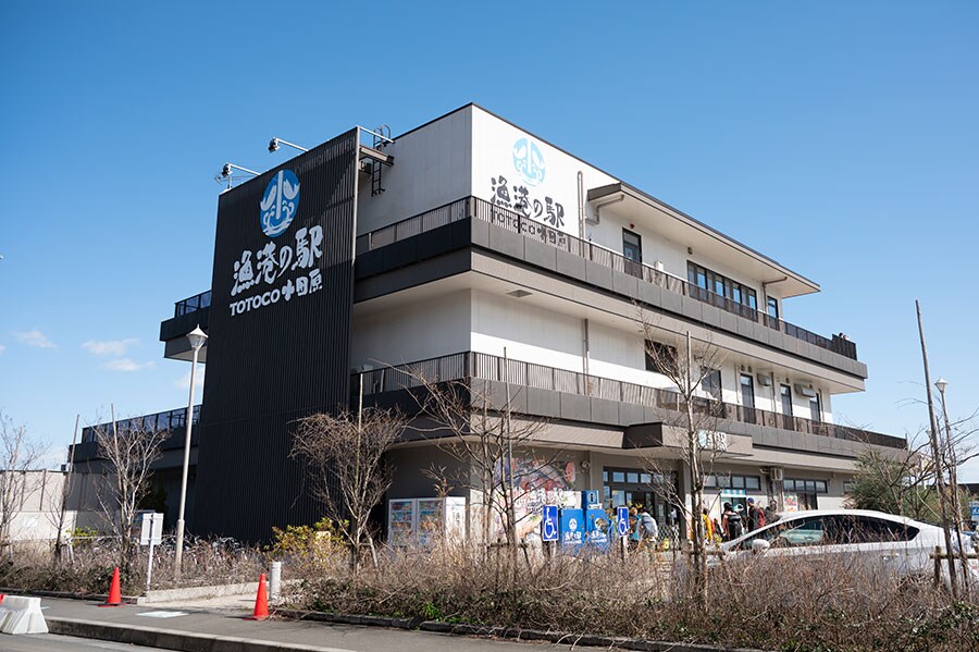 「漁港の駅TOTOCO 小田原」からは、相模湾を一望できます。