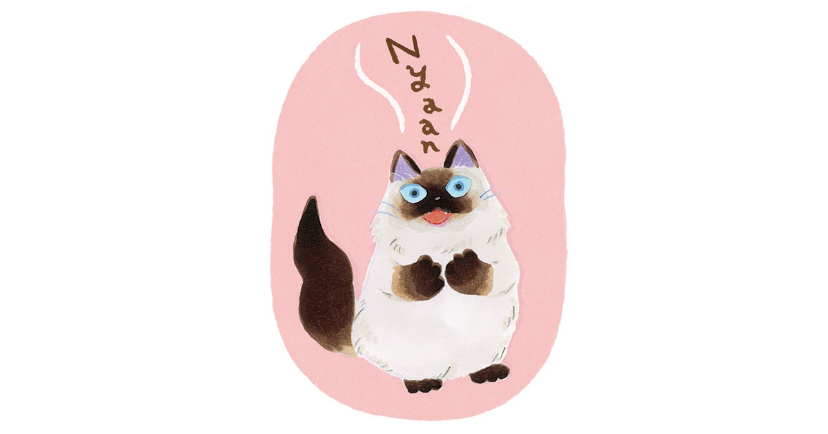 「ニャッ」は挨拶「ニャオ」は喜び？猫の鳴き声の秘密に迫る[猫を愛したくなる26のトリビア] | 猫を愛したくなる26のトリビア