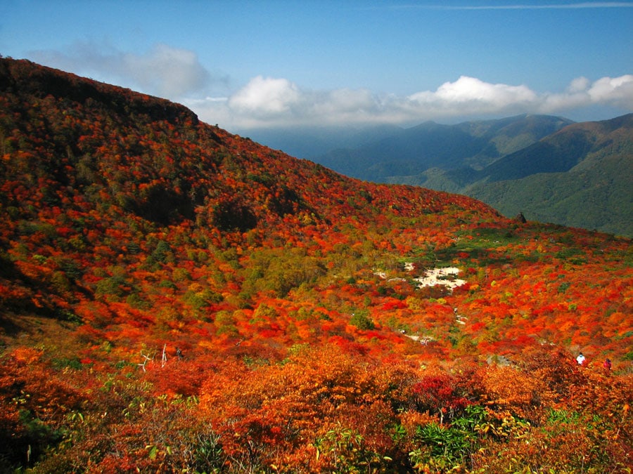 姥ヶ平の紅葉。