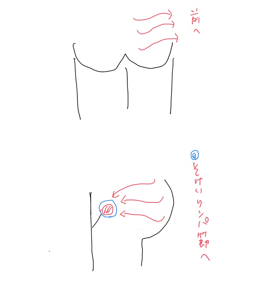 優しくお尻を通過して、最後は鼠径部のリンパ節に流す。