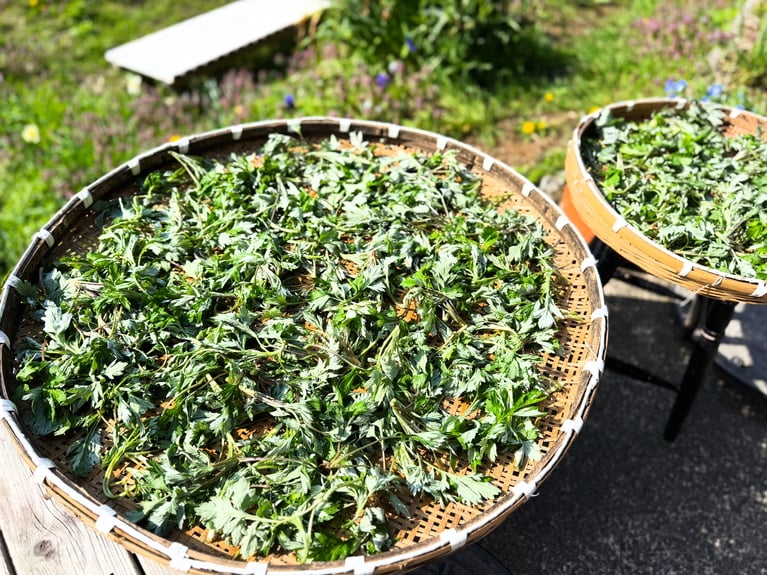 棚田でお米を育てる人が減ってしまい、田んぼに大量のよもぎが生えはじめたことがきっかけに。