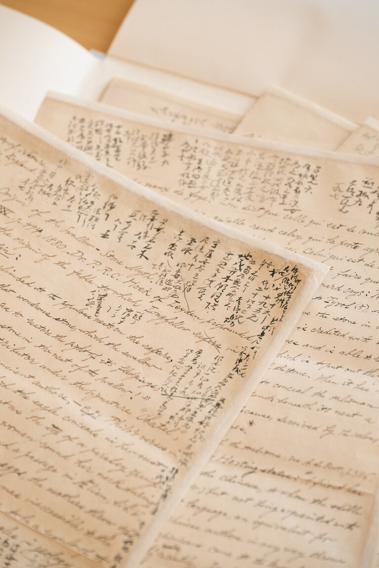 ［南方熊楠顕彰館（田辺氏）所蔵］