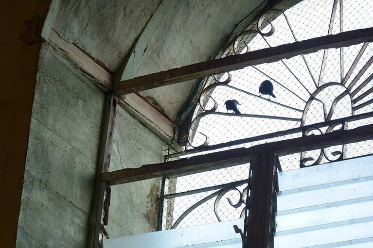 スペイン統治時代の古びた教会。改修中の今は鳥たちの安らぎの場に。