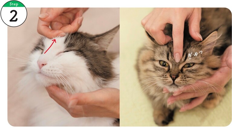 使用するツボ：印堂・神庭。