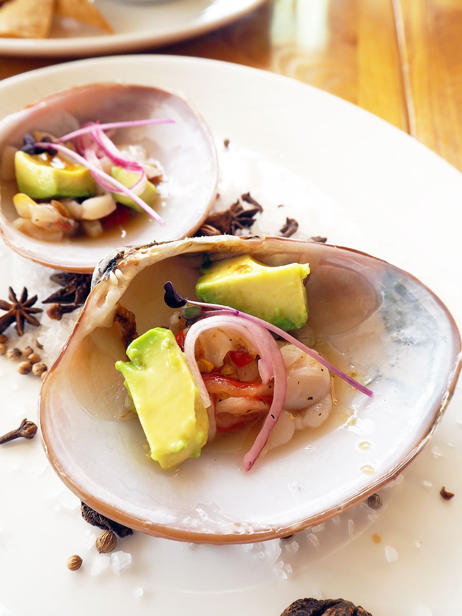 ロスカボスの特産品の貝、アルメハ・チョコラタ。セビーチェ(生)で食べるのがバハ・カリフォルニアスタイル。