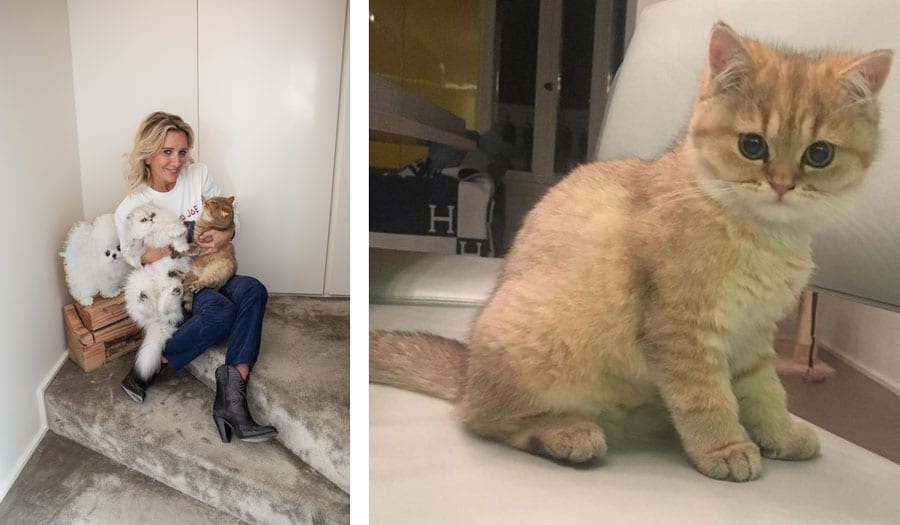 写真 左：デザイナーのソフィー・メシャリー 
写真 右：大人気猫「ヌネット」