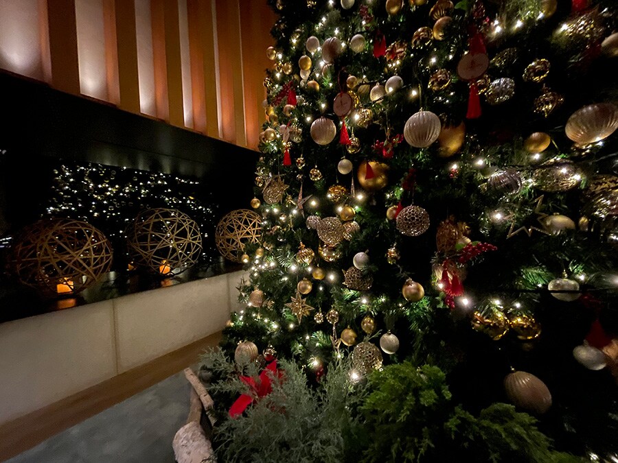 【フォーシーズンズホテル京都】 平安時代から続く名庭とクリスマスツリーが溶け合う風景 | ホテルのクリスマスツリー | 写真 | 8枚目