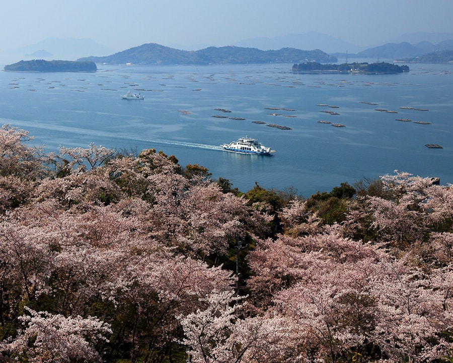 【広島県】正福寺山公園。